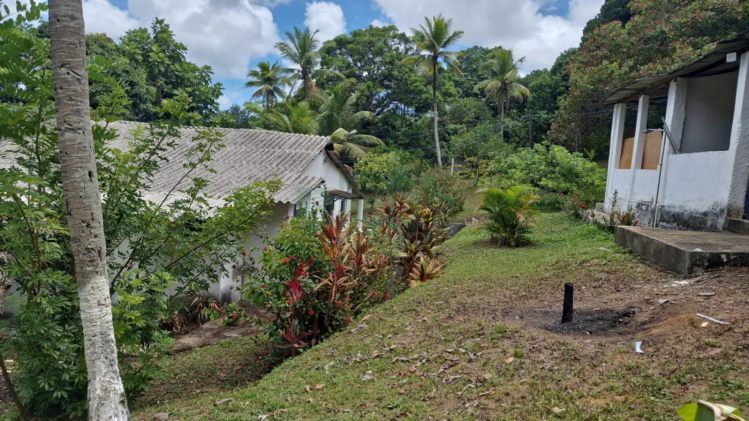 Fazenda à venda com 3 quartos, 5000m² - Foto 7