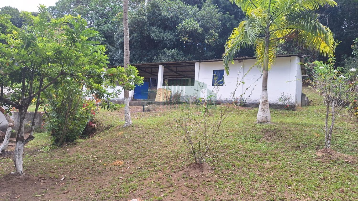 Fazenda à venda com 3 quartos, 5000m² - Foto 4