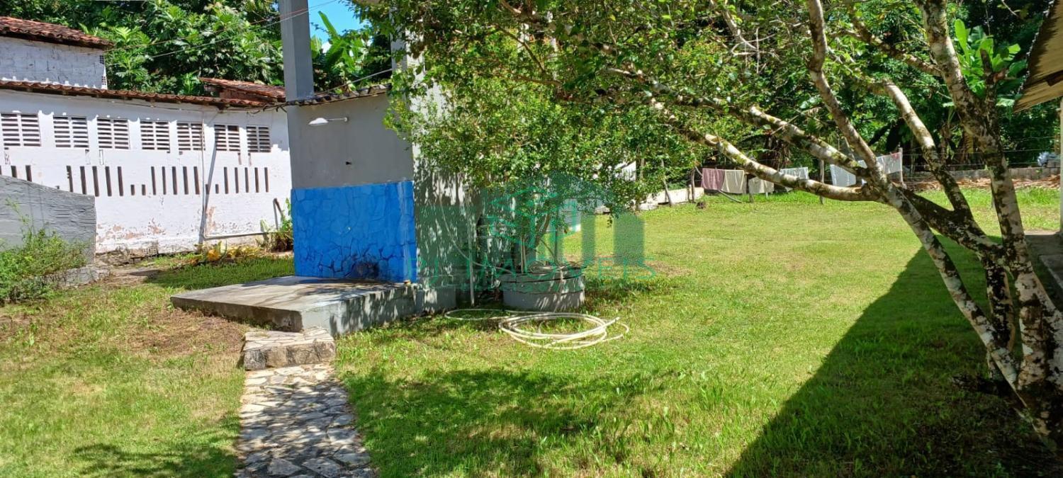 Chácara, 7 quartos, 2 hectares - Foto 4