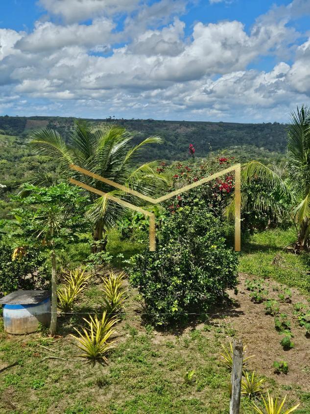 Fazenda à venda com 5 quartos, 174240m² - Foto 8