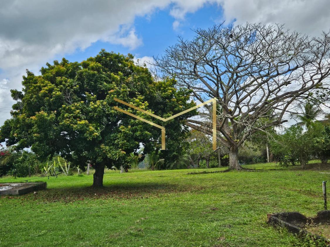 Fazenda à venda com 5 quartos, 174240m² - Foto 10