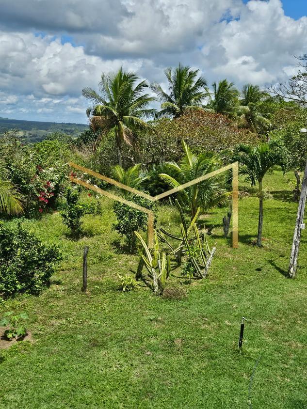 Fazenda à venda com 5 quartos, 174240m² - Foto 11