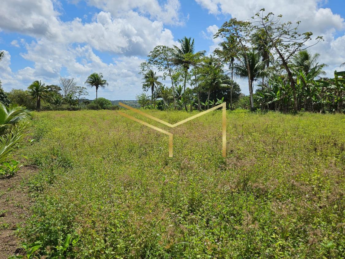 Fazenda à venda com 5 quartos, 174240m² - Foto 13