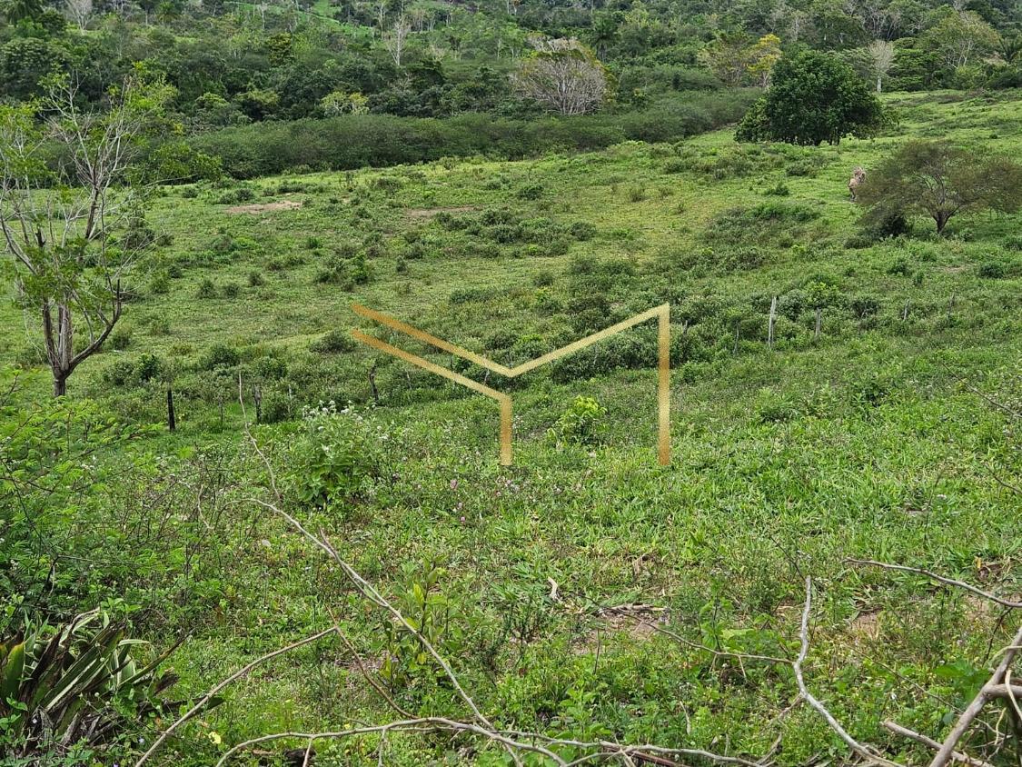 Fazenda à venda com 5 quartos, 174240m² - Foto 14