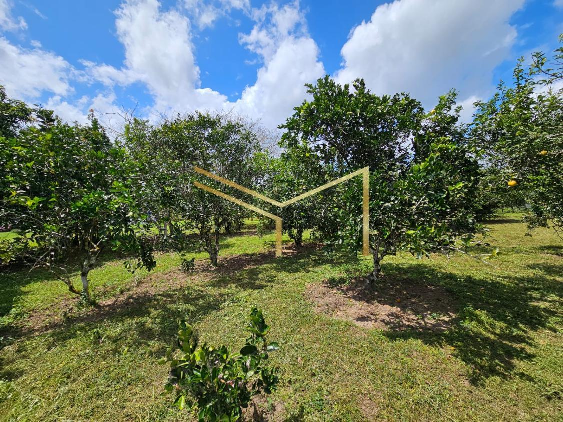 Fazenda à venda com 5 quartos, 174240m² - Foto 12