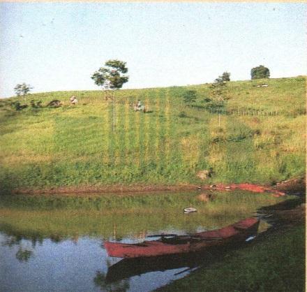 Terreno à venda, 1200m² - Foto 4