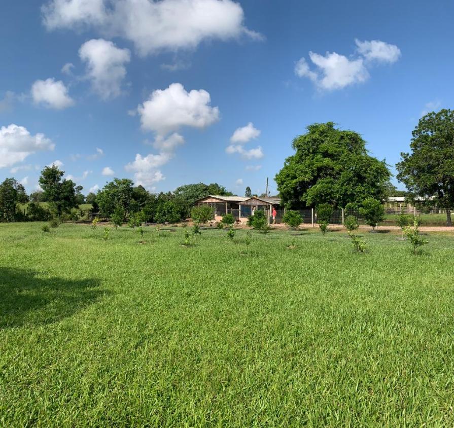 Fazenda à venda com 1 quarto, 35000m² - Foto 1