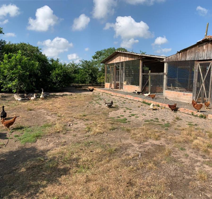 Fazenda à venda com 1 quarto, 35000m² - Foto 2