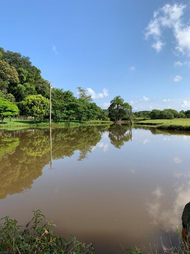 Fazenda à venda com 1 quarto, 35000m² - Foto 3