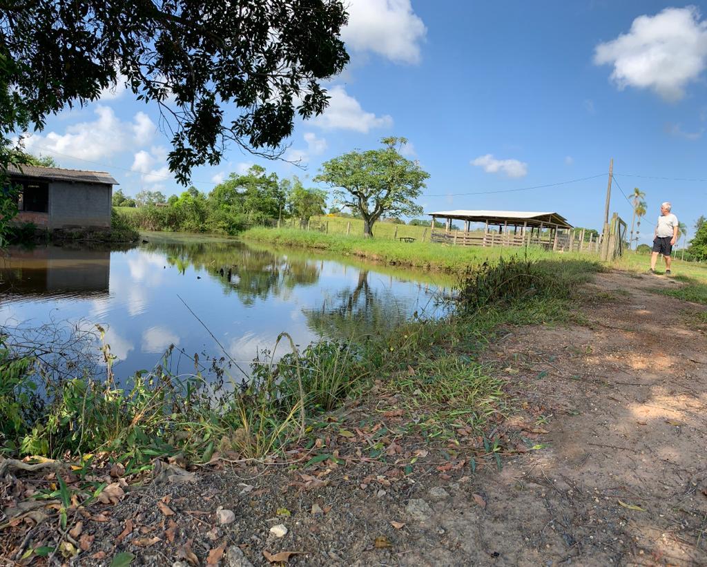 Fazenda à venda com 1 quarto, 35000m² - Foto 4