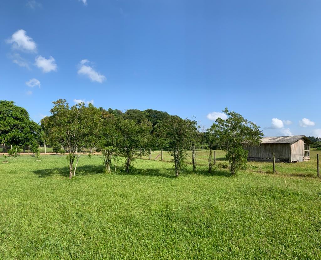 Fazenda à venda com 1 quarto, 35000m² - Foto 5