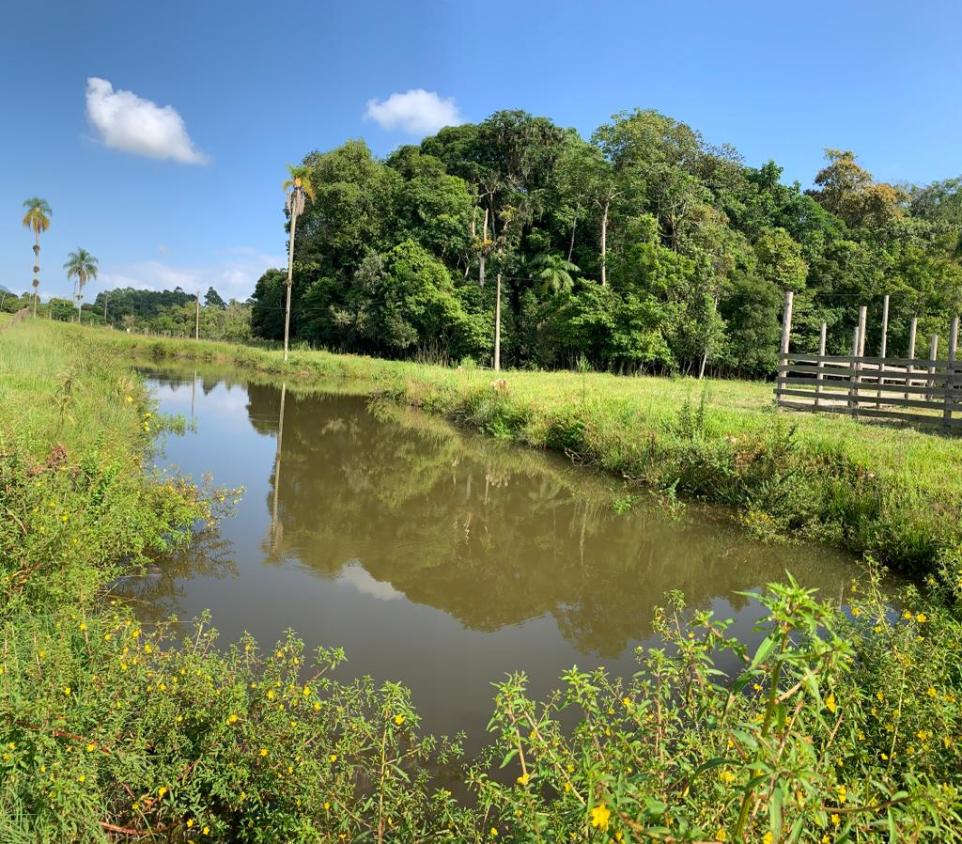 Fazenda à venda com 1 quarto, 35000m² - Foto 6