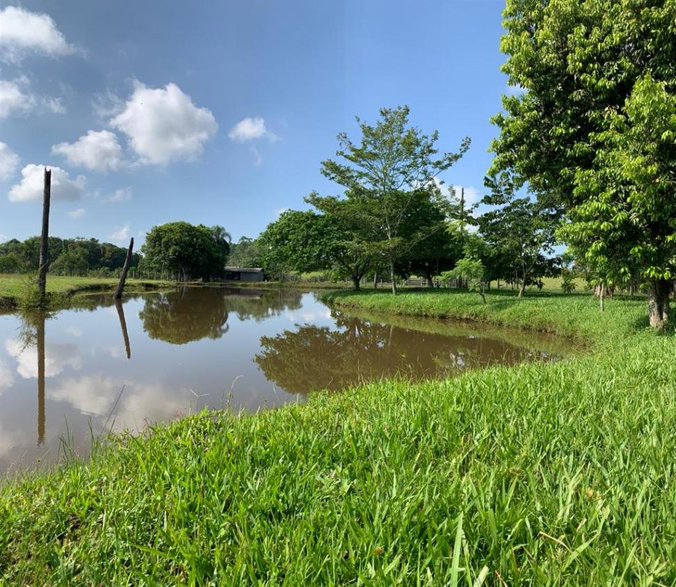 Fazenda à venda com 1 quarto, 35000m² - Foto 8