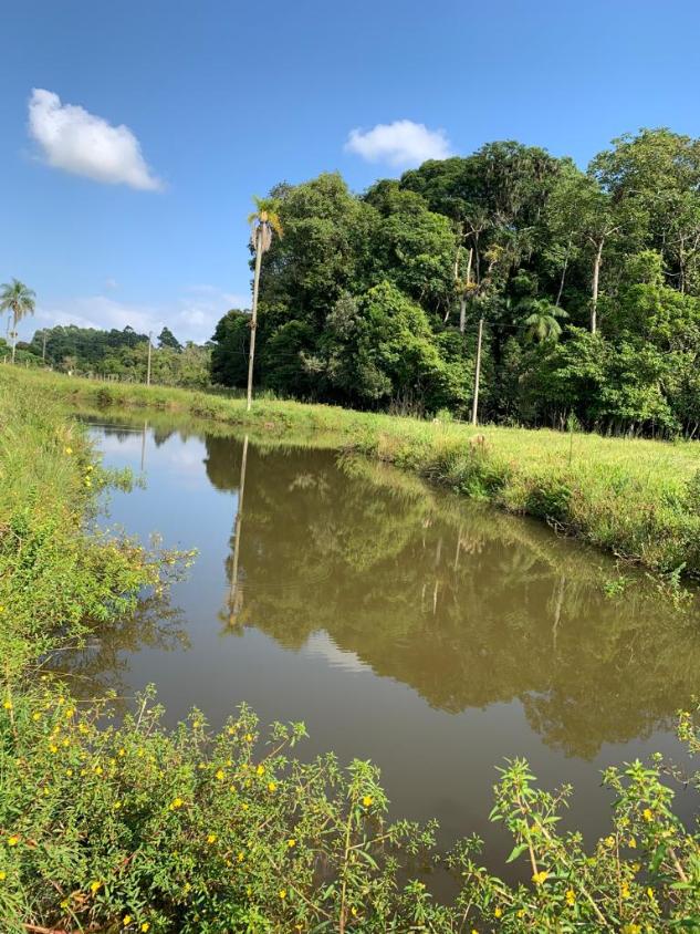 Fazenda à venda com 1 quarto, 35000m² - Foto 9