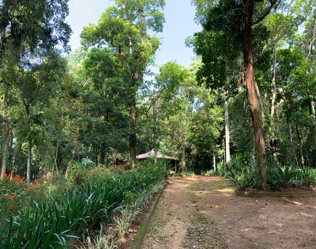 Fazenda à venda com 1 quarto, 35000m² - Foto 10