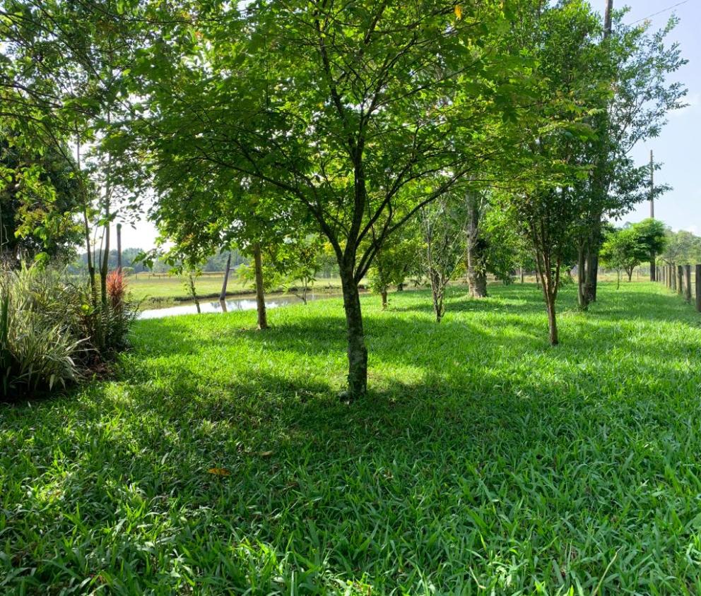 Fazenda à venda com 1 quarto, 35000m² - Foto 12