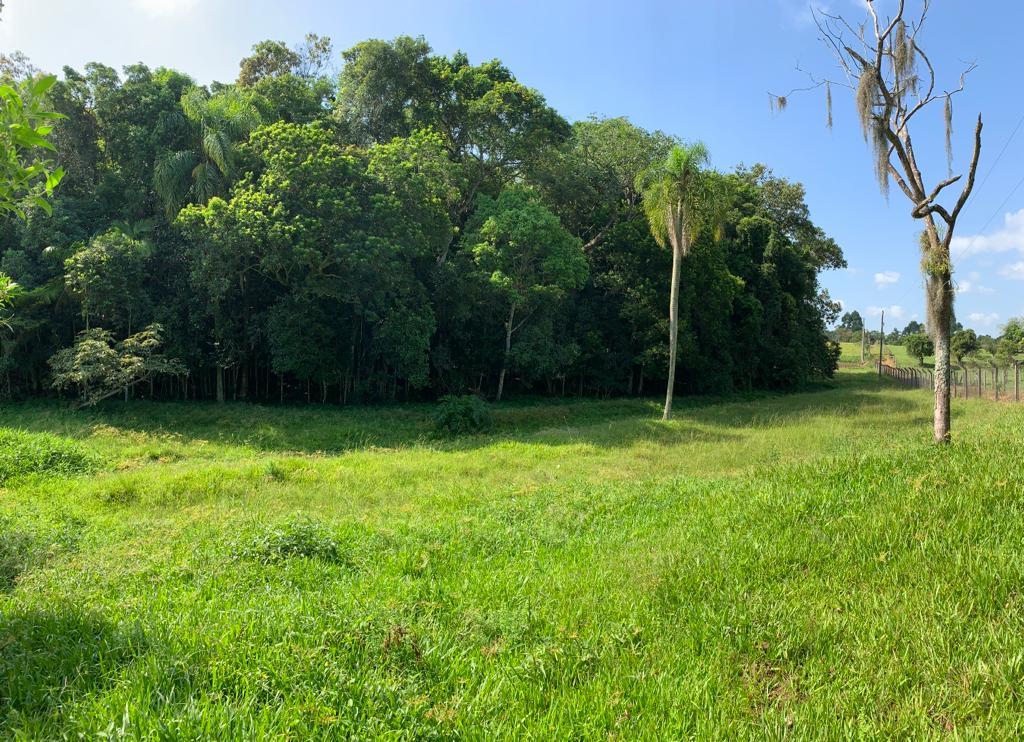 Fazenda à venda com 1 quarto, 35000m² - Foto 18