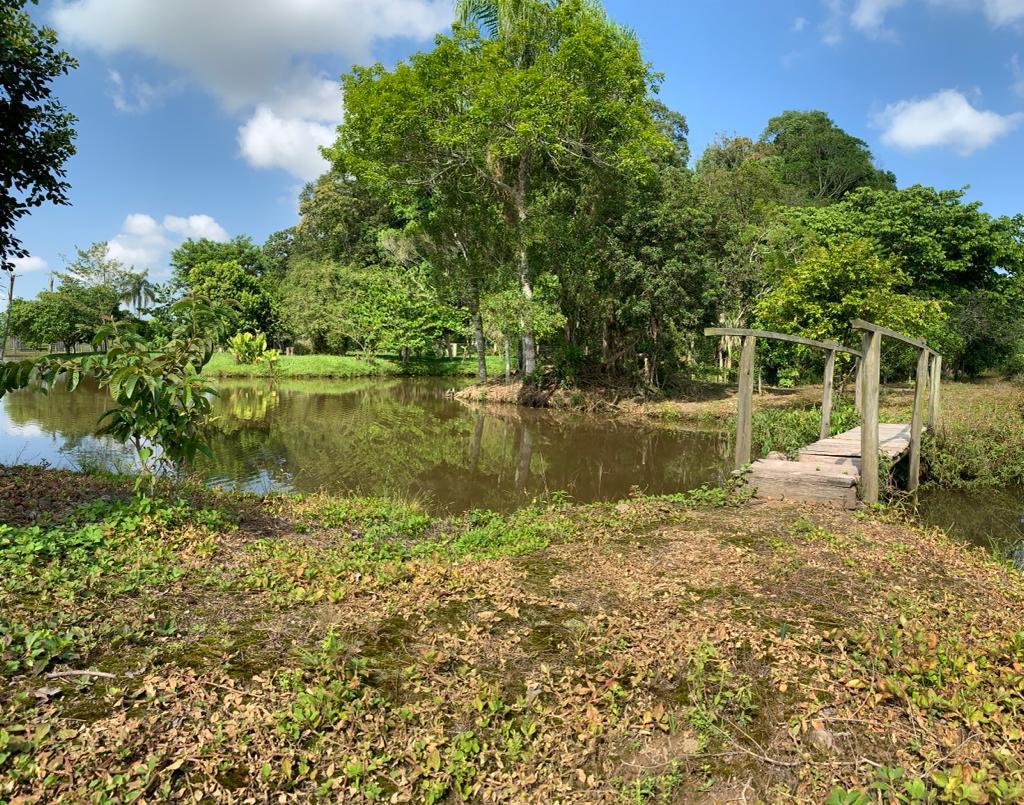 Fazenda à venda com 1 quarto, 35000m² - Foto 20