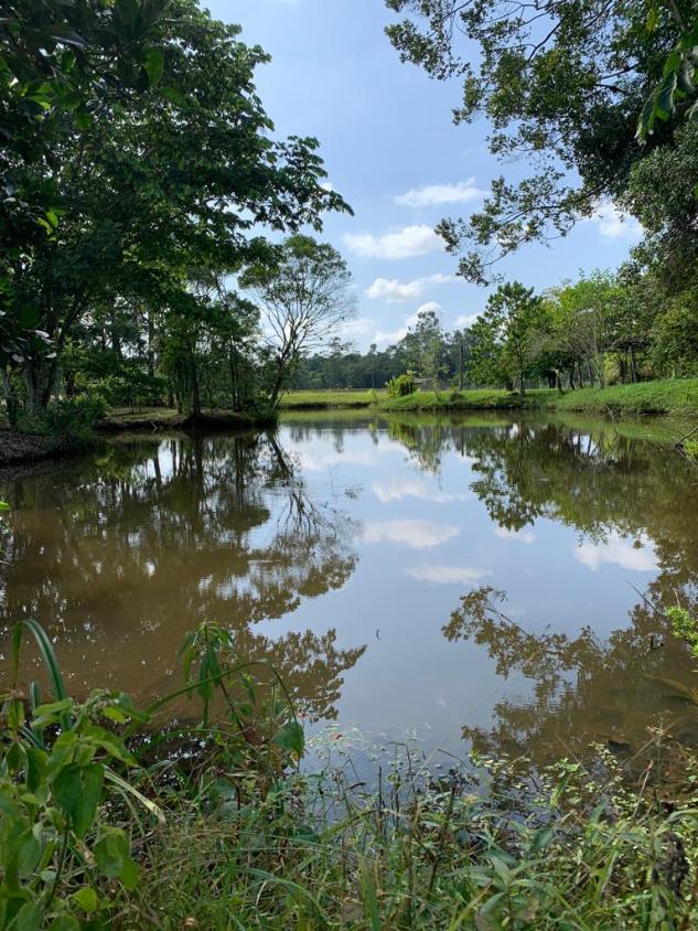 Fazenda à venda com 1 quarto, 35000m² - Foto 21