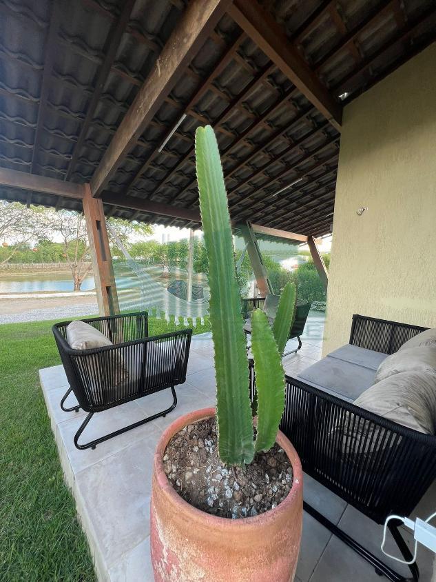 Casa de Condomínio à venda com 5 quartos, 260m² - Foto 24