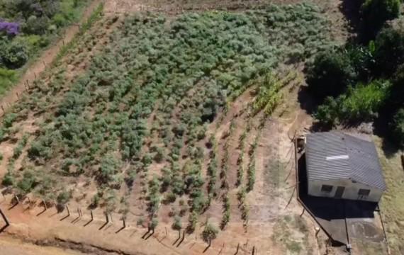 Fazenda à venda com 1 quarto - Foto 2