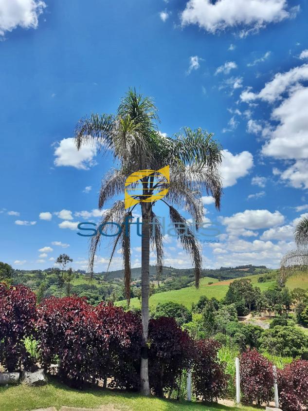 Fazenda à venda com 3 quartos, 4500m² - Foto 6