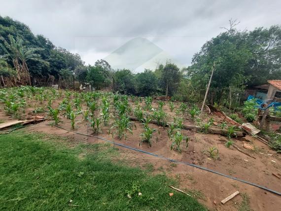 Fazenda à venda com 3 quartos, 900m² - Foto 20