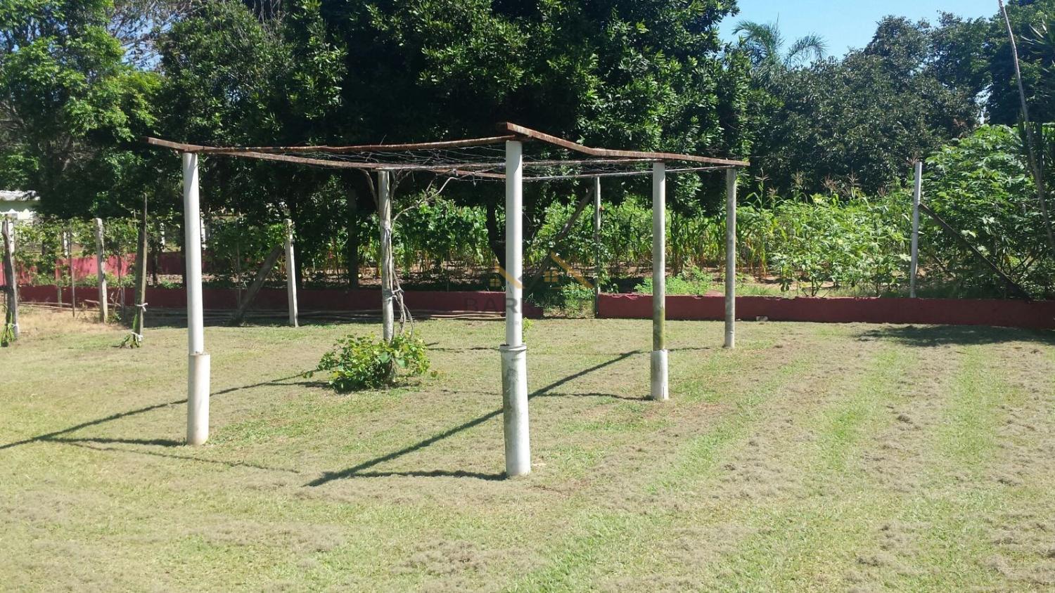 Fazenda à venda com 4 quartos, 2500m² - Foto 8