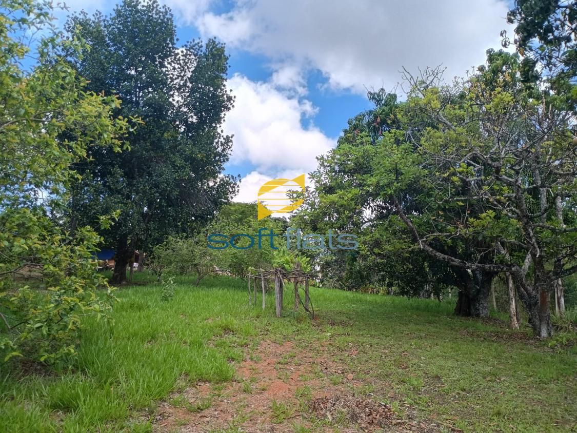 Fazenda à venda com 3 quartos, 4500m² - Foto 23