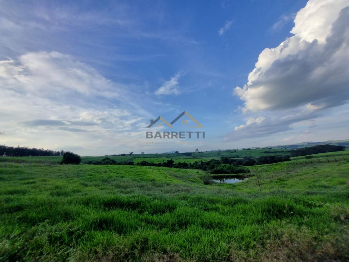 Fazenda à venda com 2 quartos, 43000m² - Foto 22