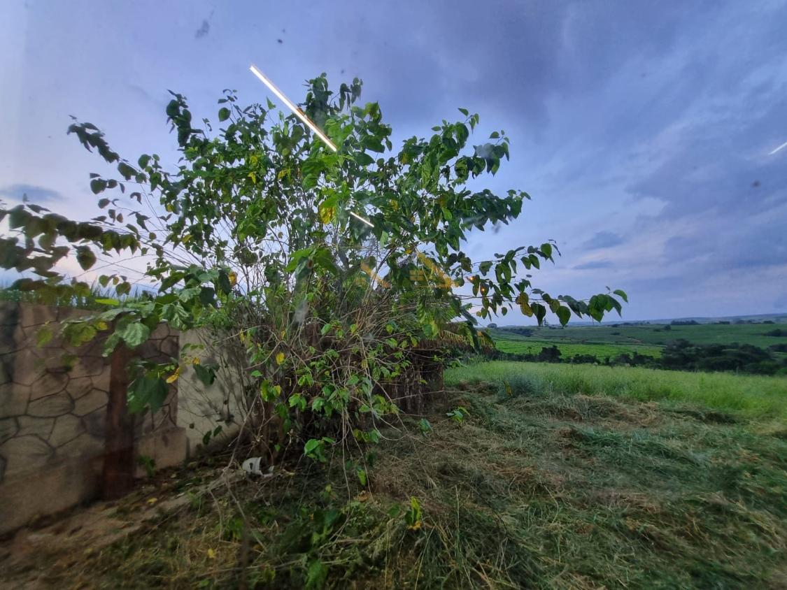 Fazenda à venda com 2 quartos, 43000m² - Foto 26