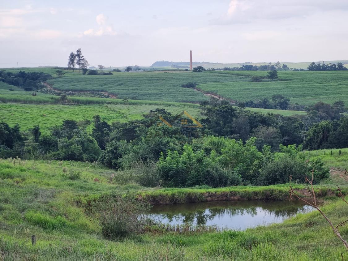 Fazenda à venda com 2 quartos, 43000m² - Foto 23