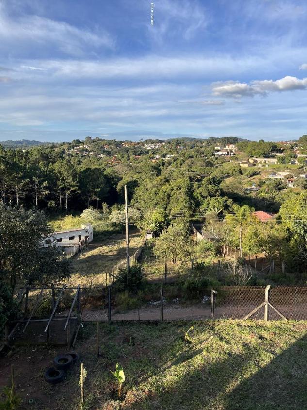 Fazenda à venda com 3 quartos, 700m² - Foto 11