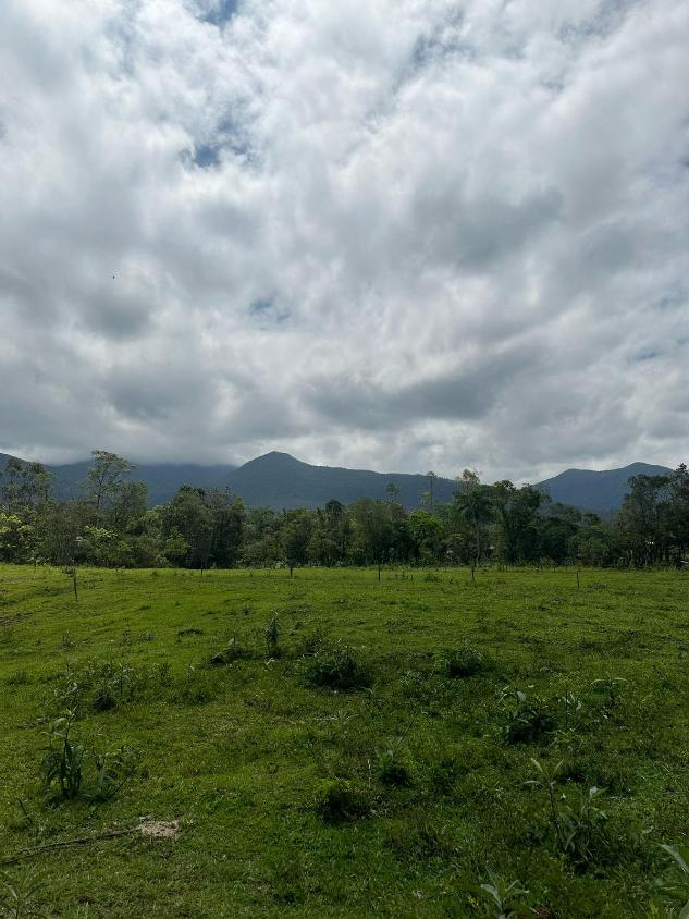 Terreno à venda, 20000m² - Foto 4