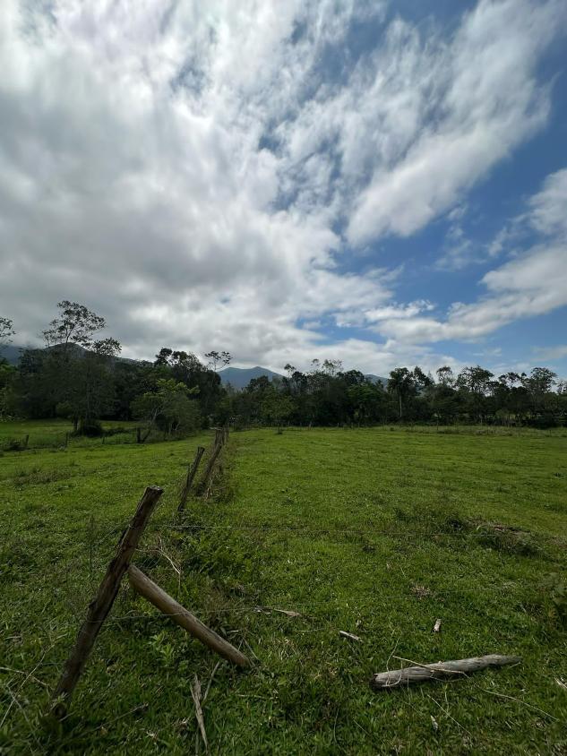 Terreno à venda, 20000m² - Foto 7