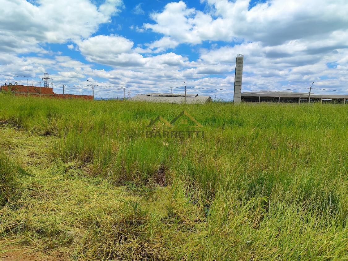 Terreno à venda, 250m² - Foto 2