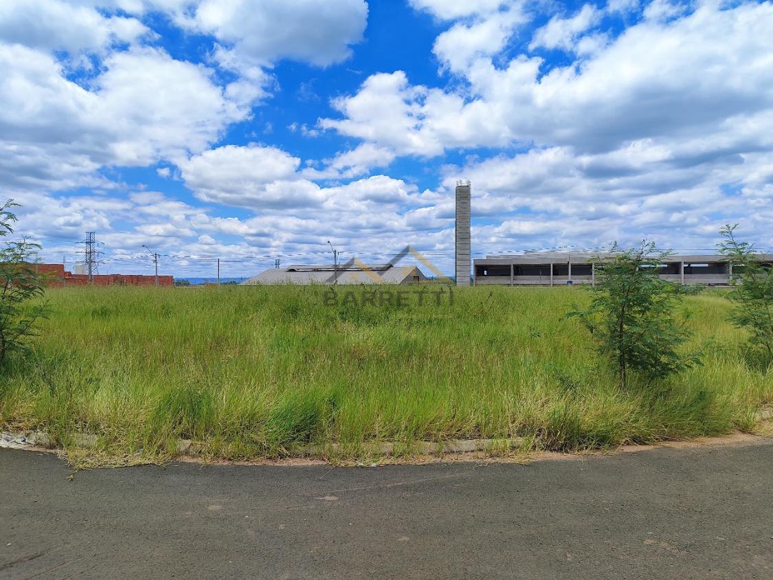 Terreno à venda, 250m² - Foto 3