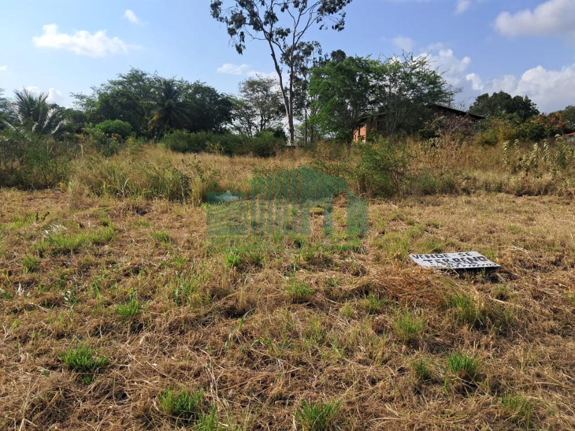 Terreno à venda, 800m² - Foto 11