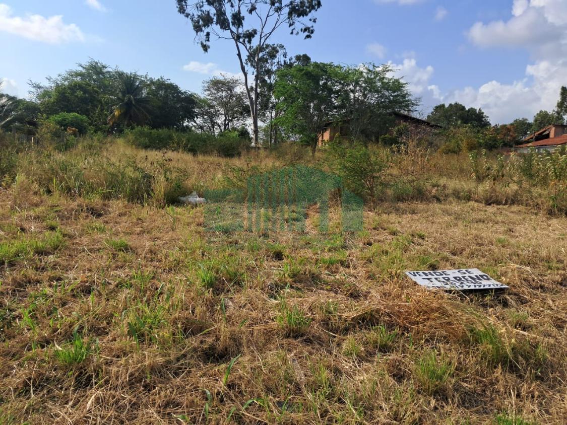 Terreno à venda, 800m² - Foto 5
