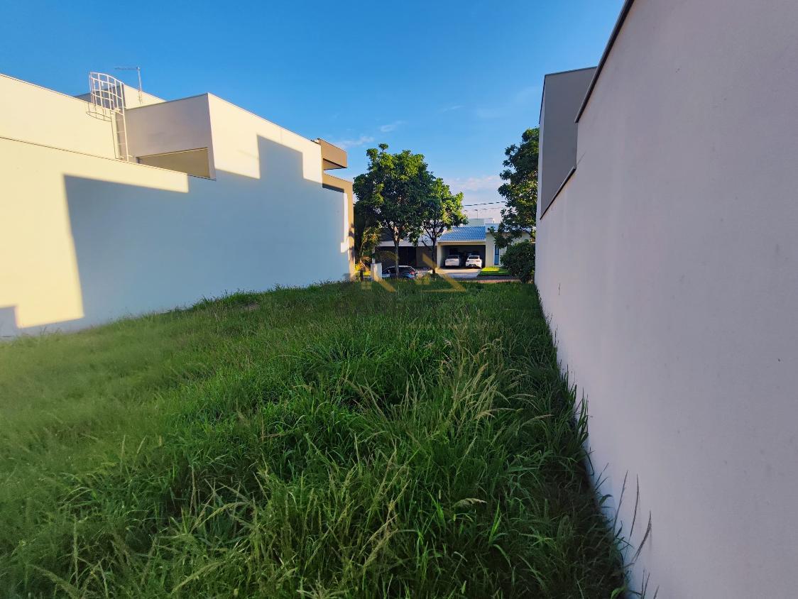 Terreno à venda, 250m² - Foto 4