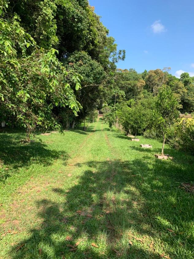 Fazenda à venda, 35000m² - Foto 20