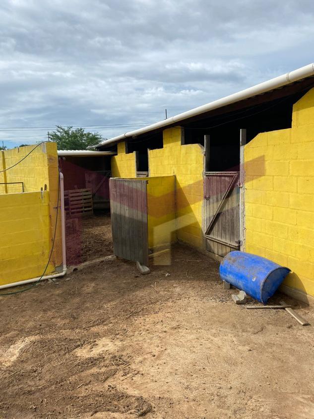 Fazenda à venda com 2 quartos, 17424m² - Foto 2