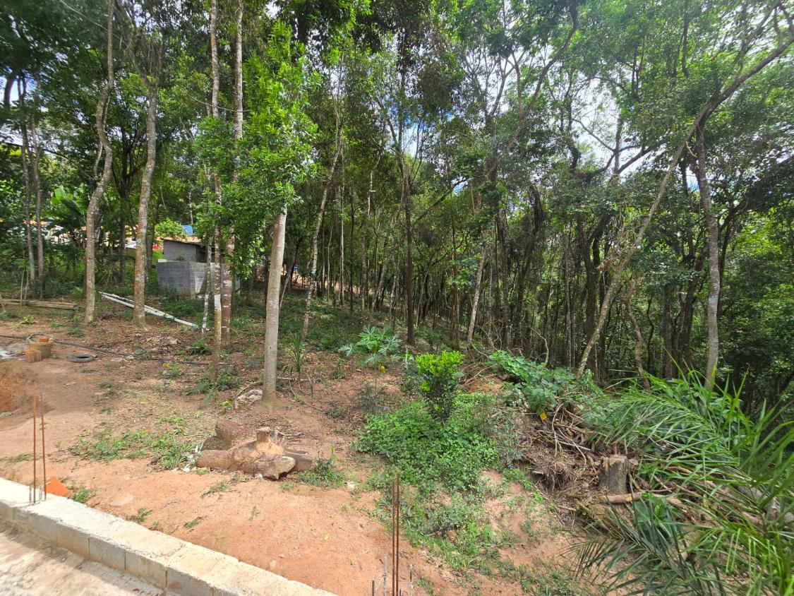 Fazenda à venda com 3 quartos, 3400m² - Foto 6