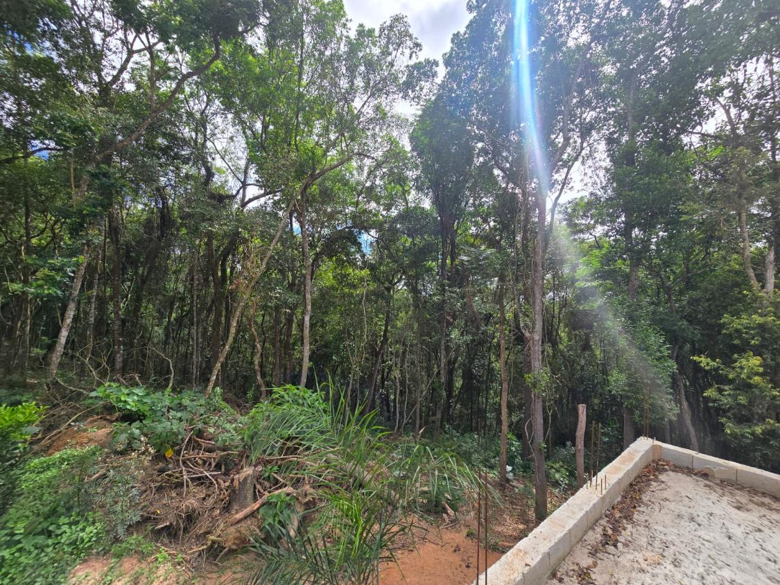 Fazenda à venda com 3 quartos, 3400m² - Foto 7