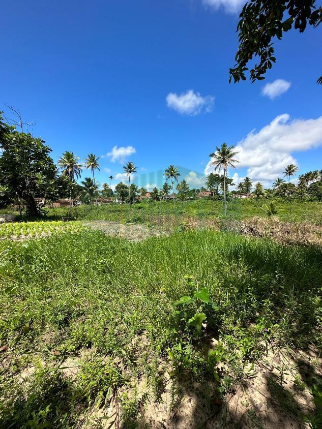 Loteamento e Condomínio, 8 hectares - Foto 13