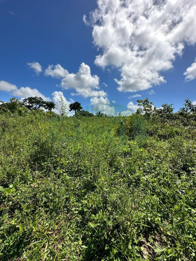 Loteamento e Condomínio, 8 hectares - Foto 4