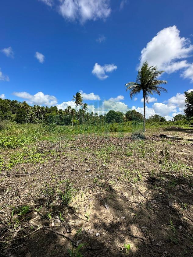 Loteamento e Condomínio, 8 hectares - Foto 11