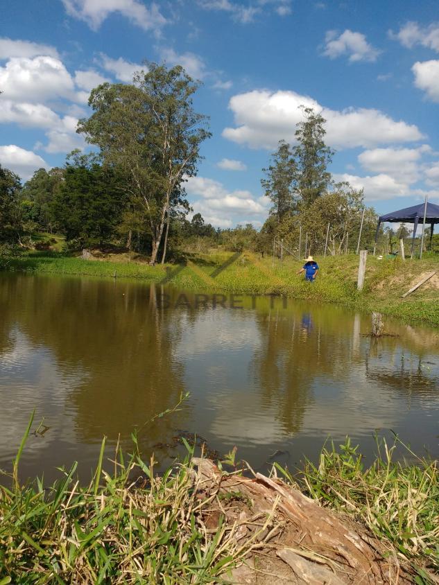 Fazenda à venda com 2 quartos, 2000m² - Foto 10