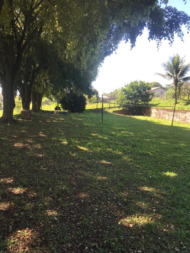 Fazenda à venda com 3 quartos, 5000m² - Foto 4