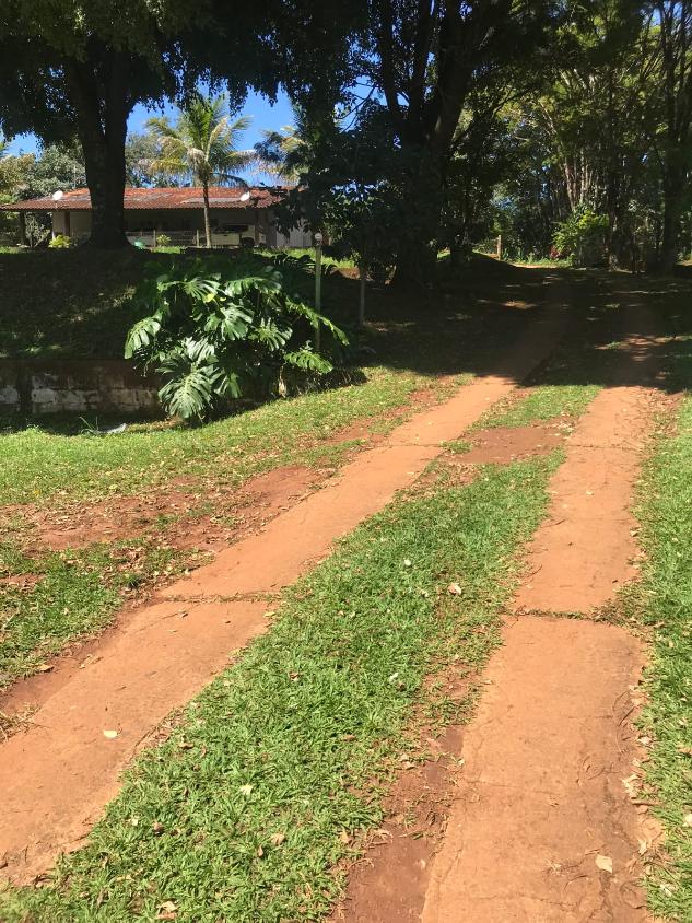 Fazenda à venda com 3 quartos, 5000m² - Foto 5